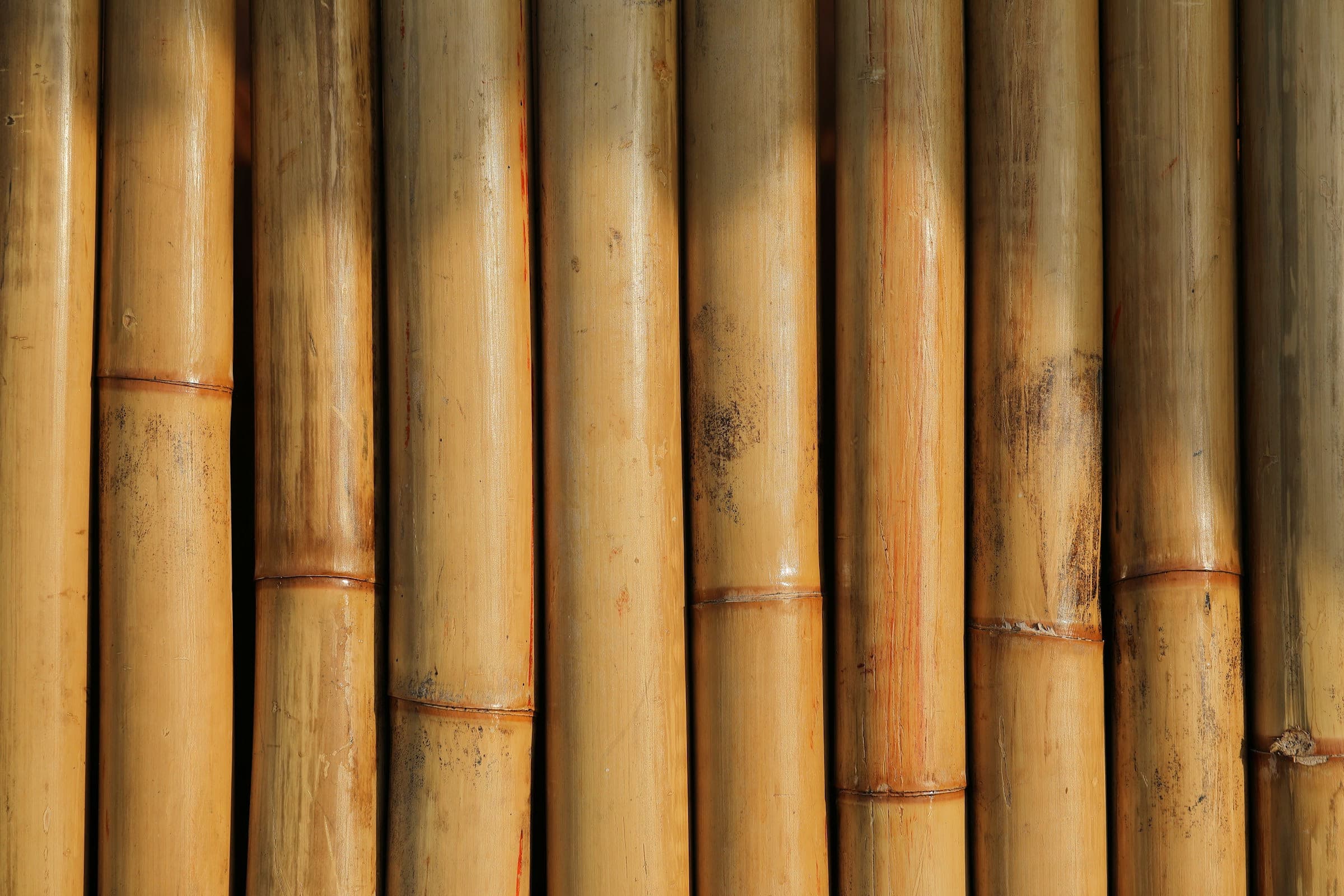 Row of cut bamboo poles stacked as a sustainable building material