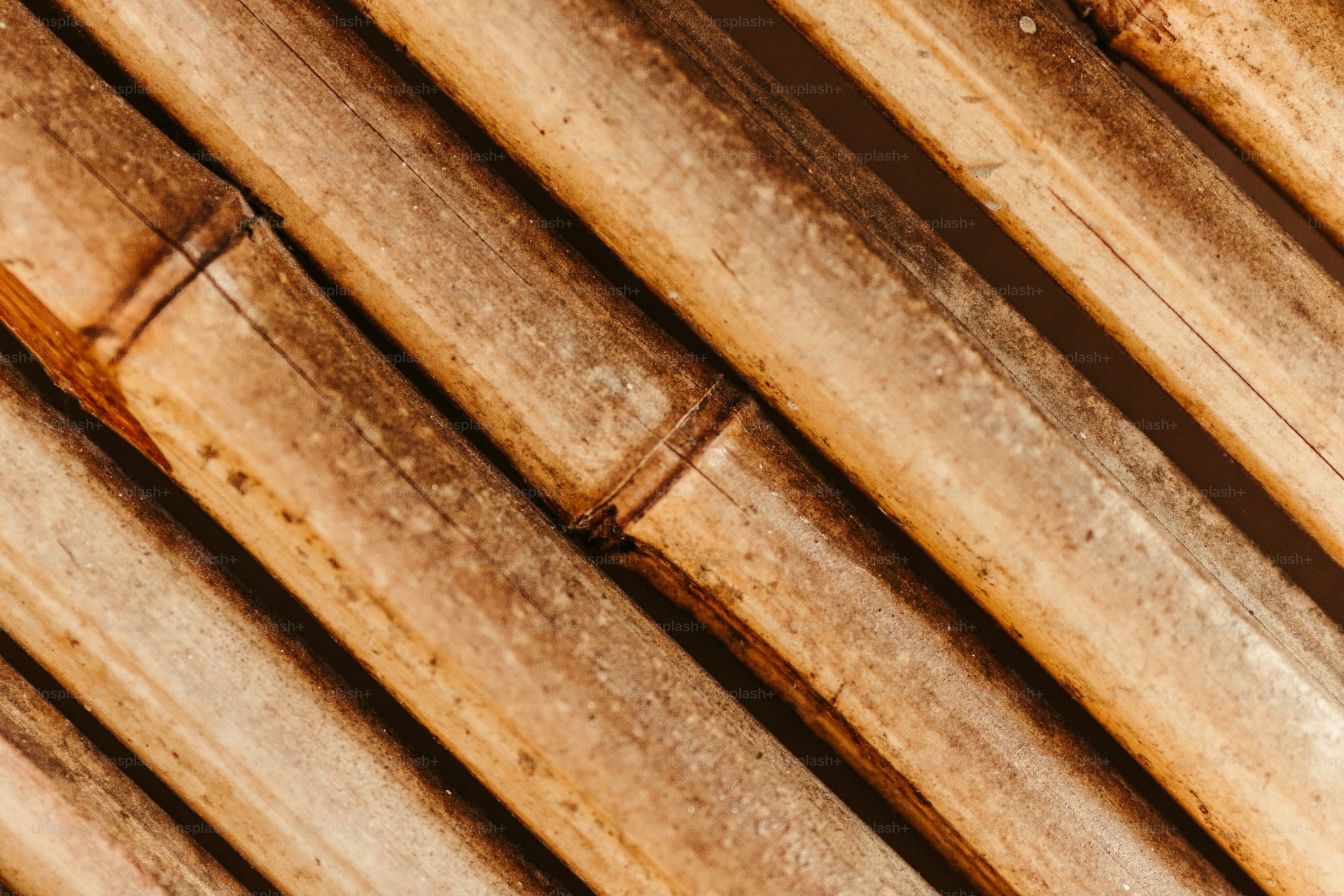 Close-up of bamboo canes prepared for use in construction